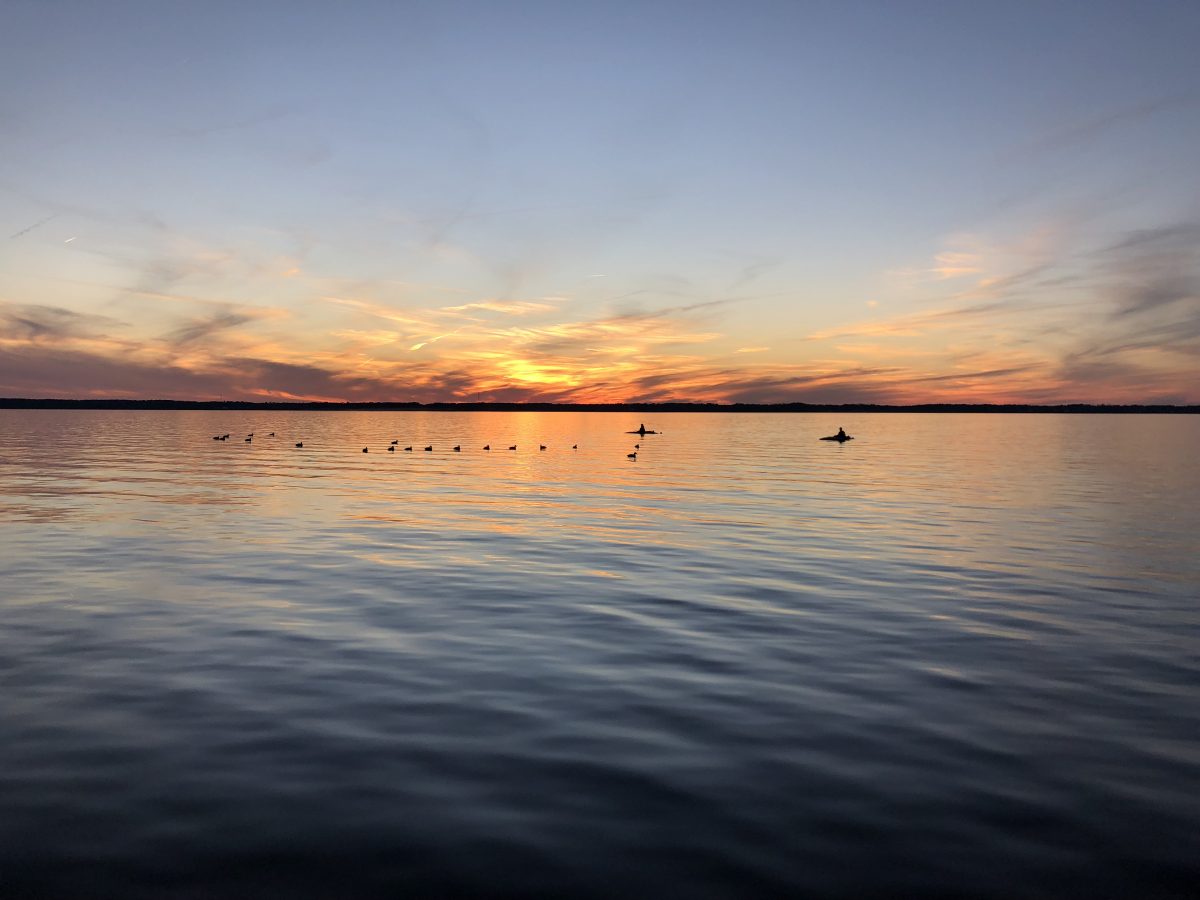 Eastern NC Waterfowl Hunting